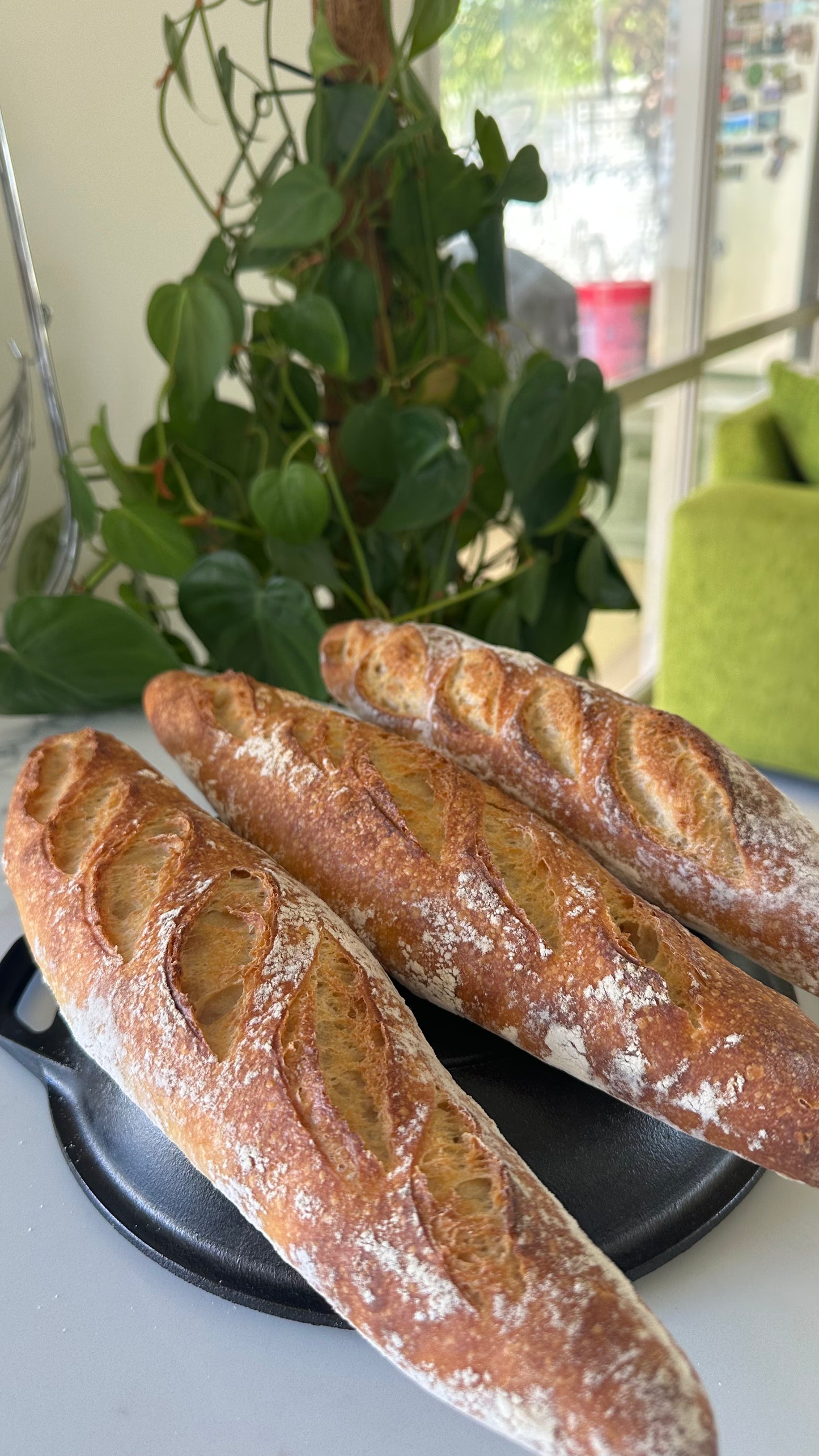 Sourdough baguettes