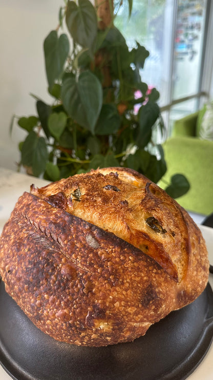 Jalapeno & Monterey Jack cheddar cheese