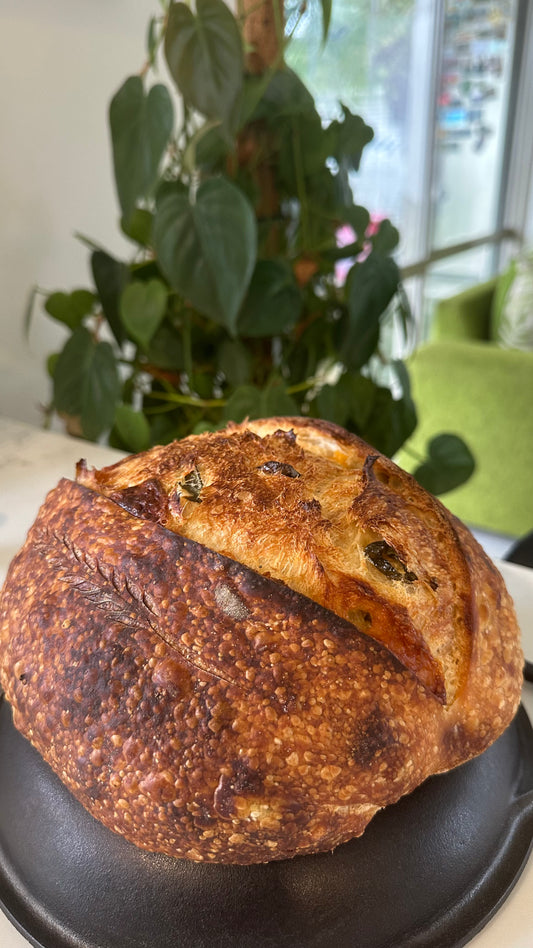 Jalapeno & Monterey Jack cheddar cheese