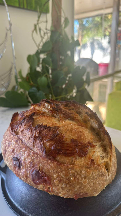 Marmite & Monterey Jack cheese