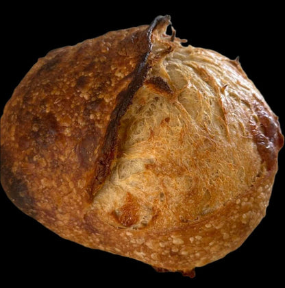 Marmite & Monterey Jack cheese