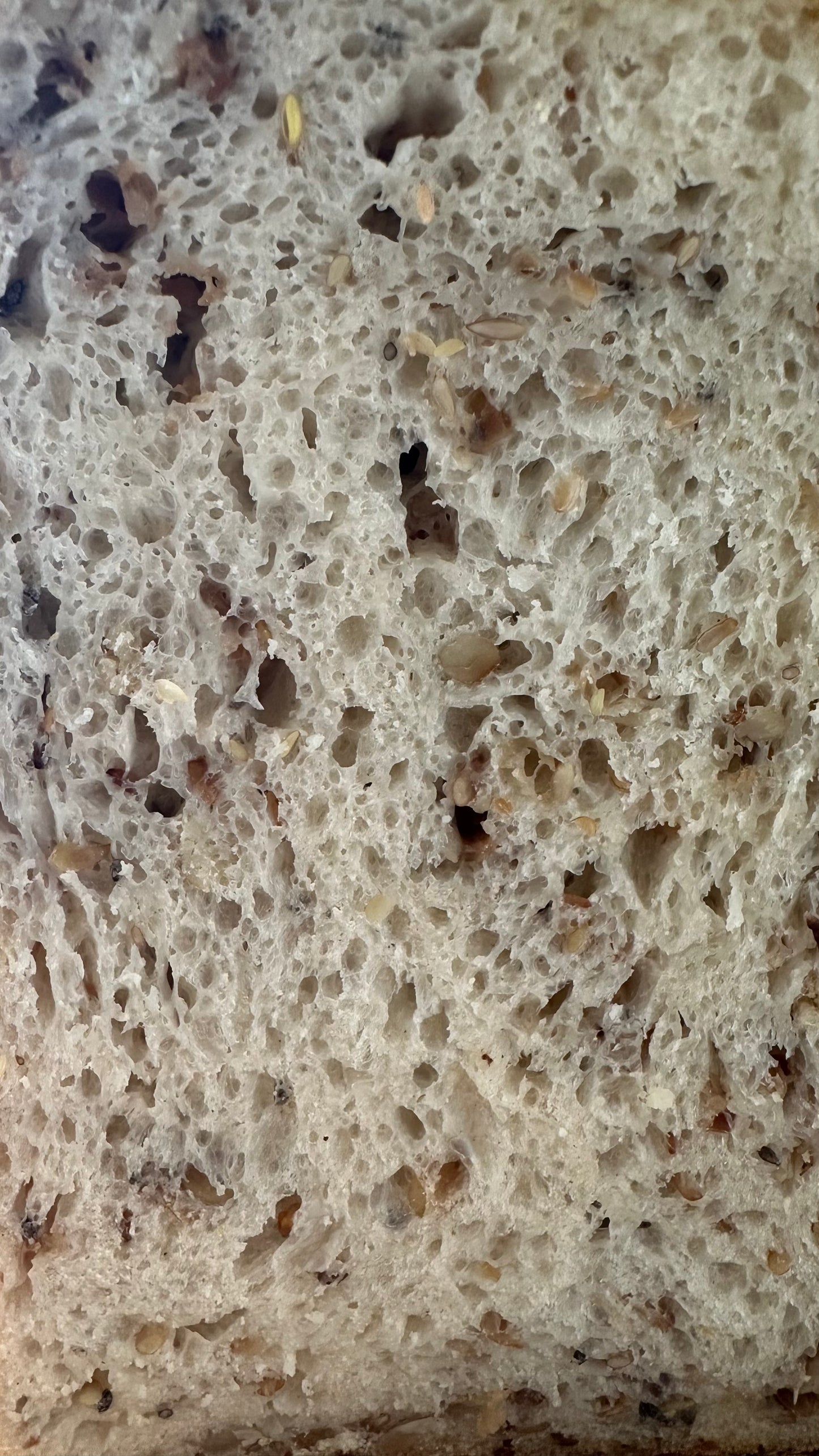 Multigrain sourdough