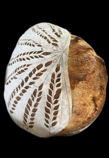 Custom design - Plain