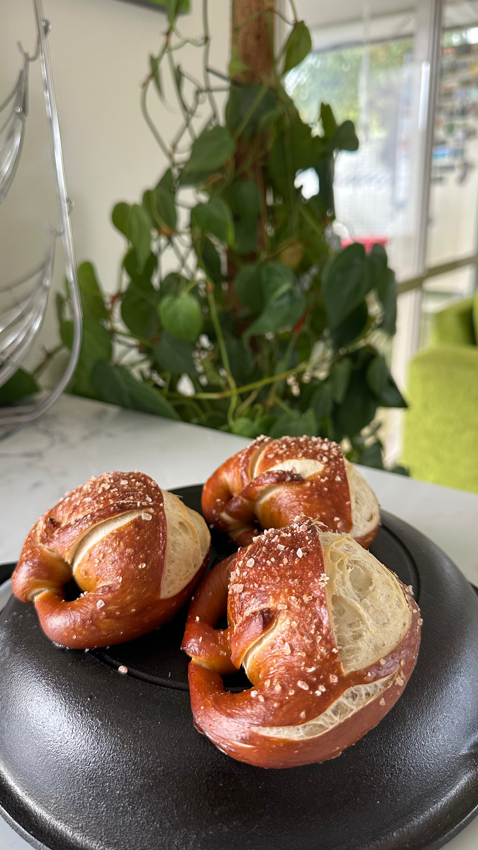 Pretzel knots (single)