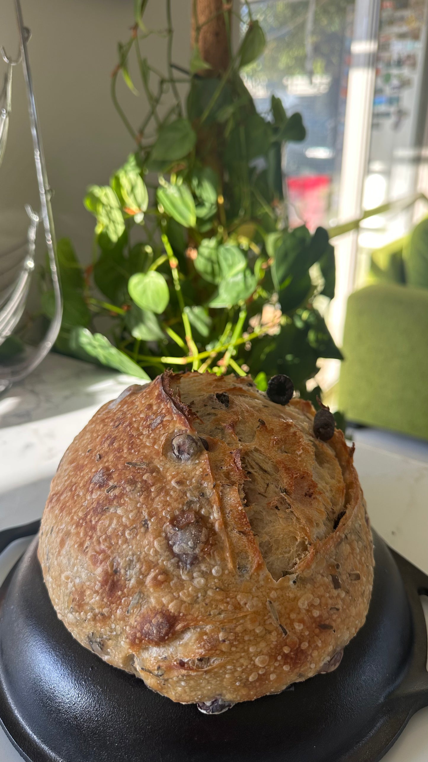 Rosemary & Olive bread